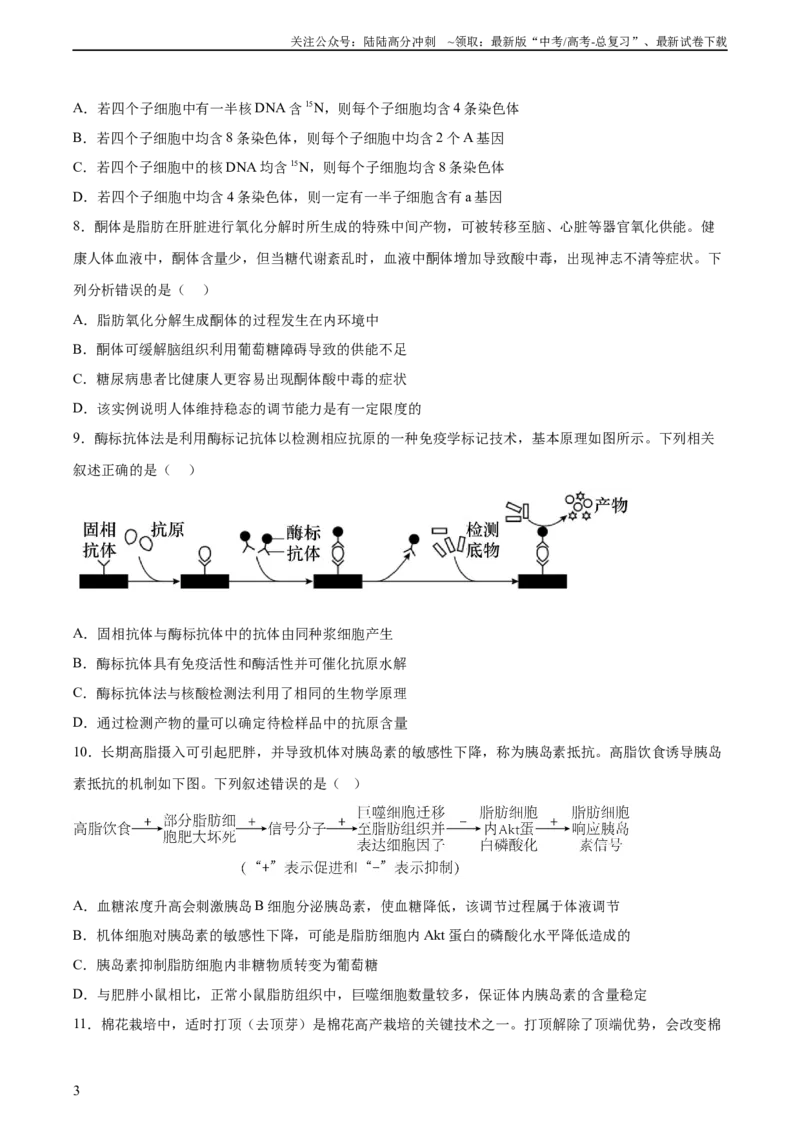《2023年高考押题预测卷03—生物（考试版）_06-生物-高考总复习_专项复习_2024年_2023年高考押题预测卷01生物》第3页预览
