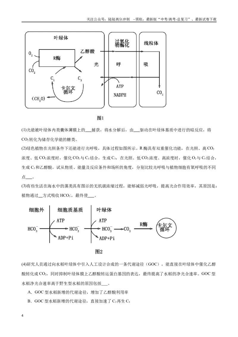 《专题01细胞代谢（解析版）_06-生物-高考总复习_专项复习_2024年_2024年高考生物重难压轴题型考前终极押题_资料》第4页预览