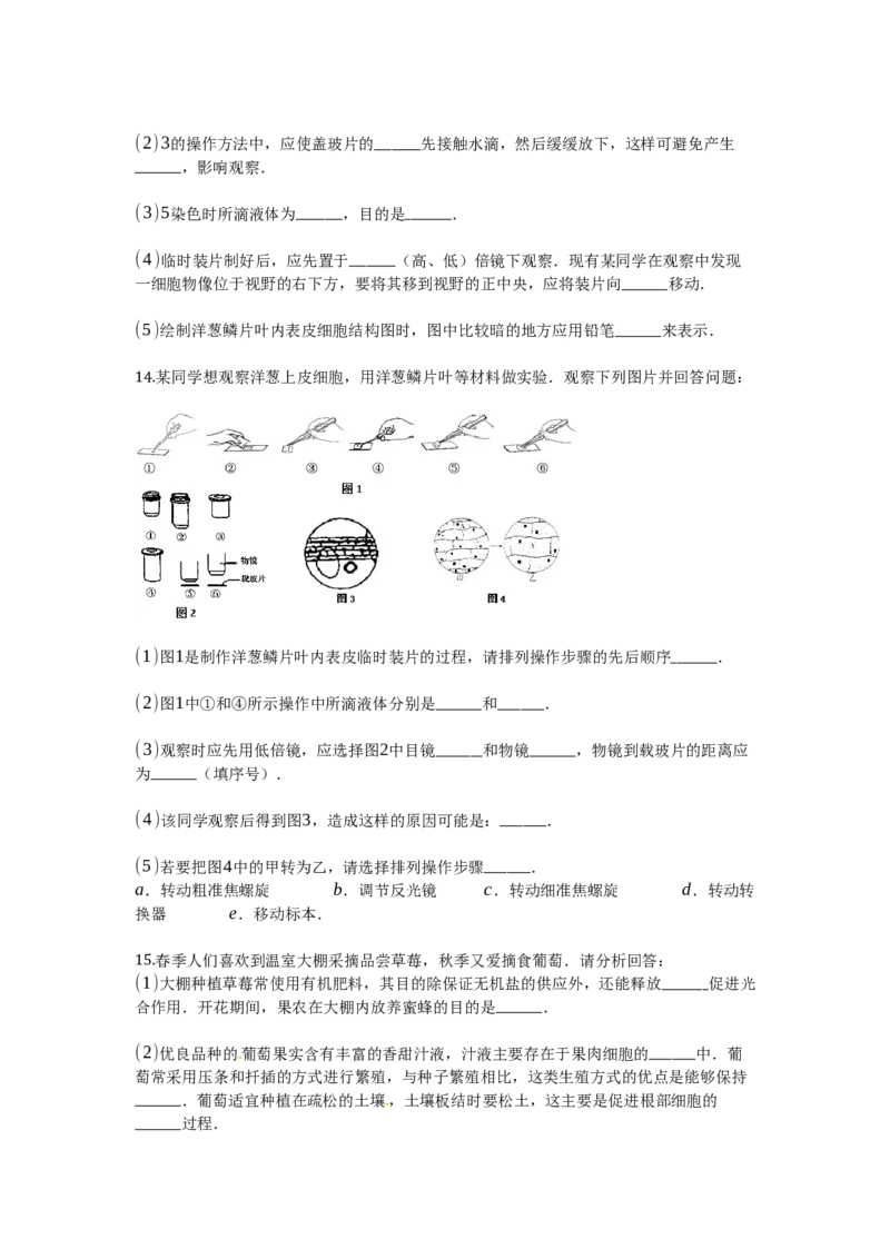 《第二单元第三章细胞检测题_初中全科目同步习题+精品试卷（7-9年级）(1)_25秋初中生物《同步习题+精品试卷》_初中生物试卷（北师大）_《单元试卷》_单元试卷7A_第2单元生物体的结构》第3页预览