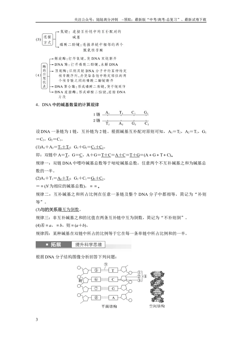 《2024年高考生物一轮复习（新人教版）第6单元　第2课时　DNA的结构与复制_06-生物-高考总复习_一轮复习_2024年_2024高考生物大一轮复习课件讲义新人教版知识总结_教师版》第3页预览