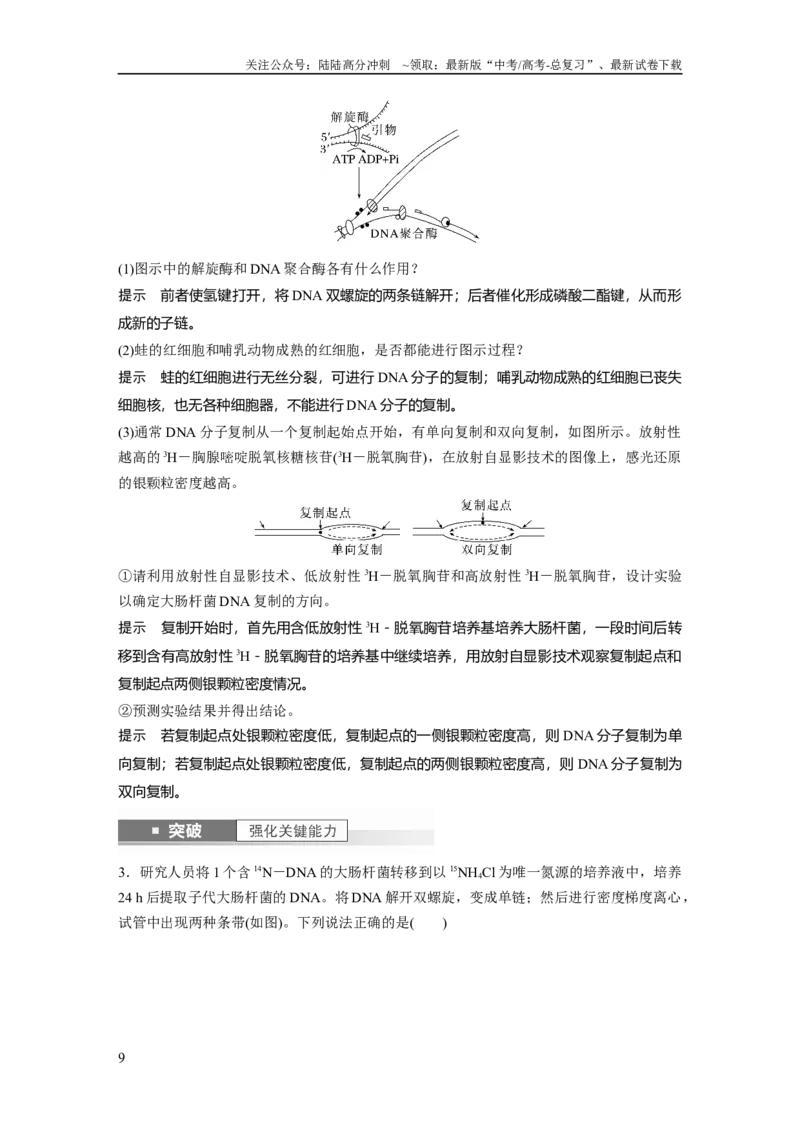 《2024年高考生物一轮复习（新人教版）第6单元　第2课时　DNA的结构与复制_06-生物-高考总复习_一轮复习_2024年_2024高考生物大一轮复习课件讲义新人教版知识总结_教师版》第9页预览