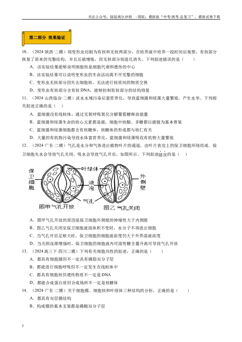 《专题02细胞的结构与功能（原卷版）_06-生物-高考总复习_专项复习_2025年_2024年高考二模试题分类汇编生物新高考通用》第3页预览