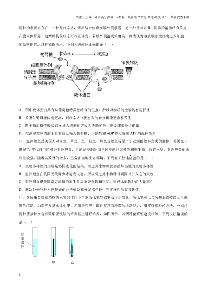 《2023年高考押题预测卷03（辽宁卷）-生物（考试版）_06-生物-高考总复习_专项复习_2024年_2023年高考押题预测卷01生物》第6页预览