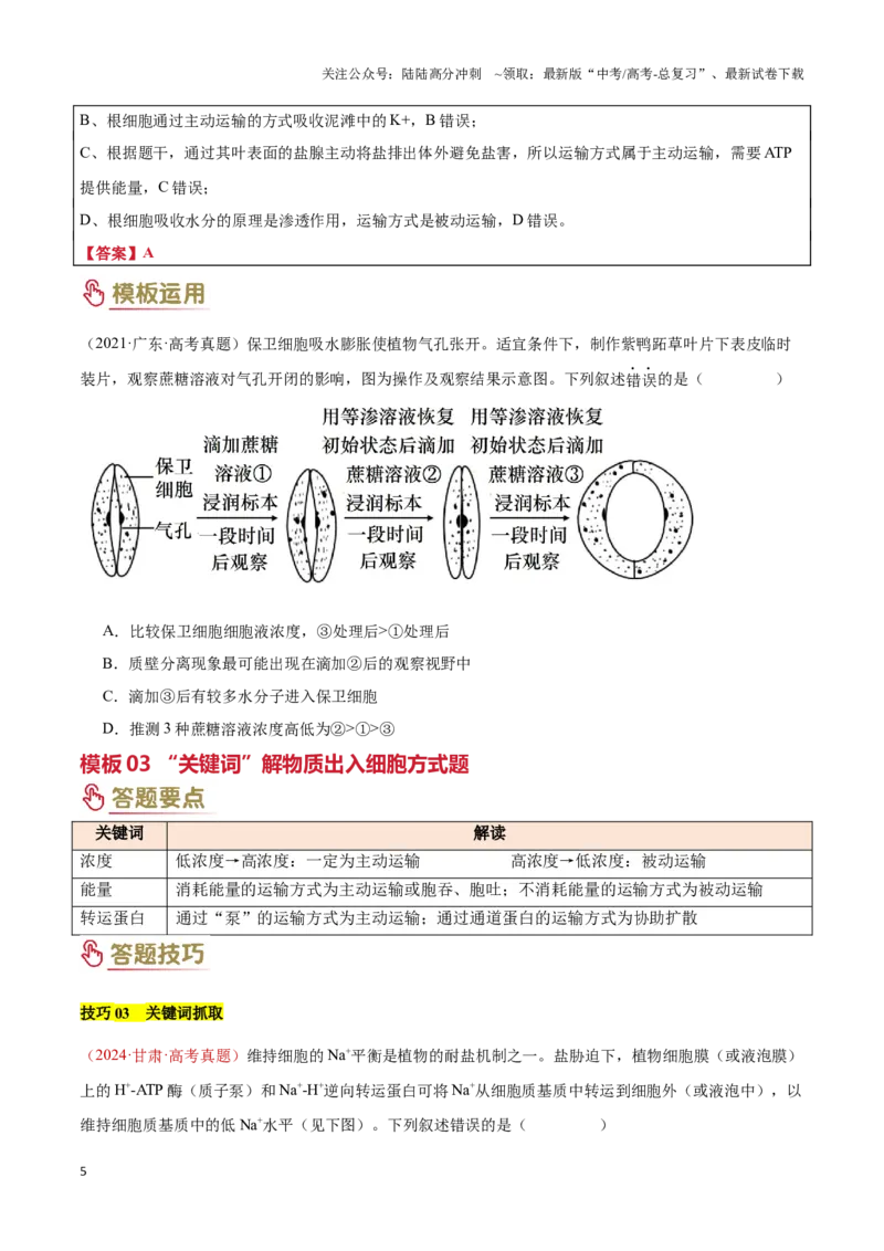 《专题01细胞的基本结构和物质运输（3大答题模板）（学生版）_06-生物-高考总复习_专项复习_2025年_2025年高考生物答题技巧与答题模板（全国通用）》第5页预览