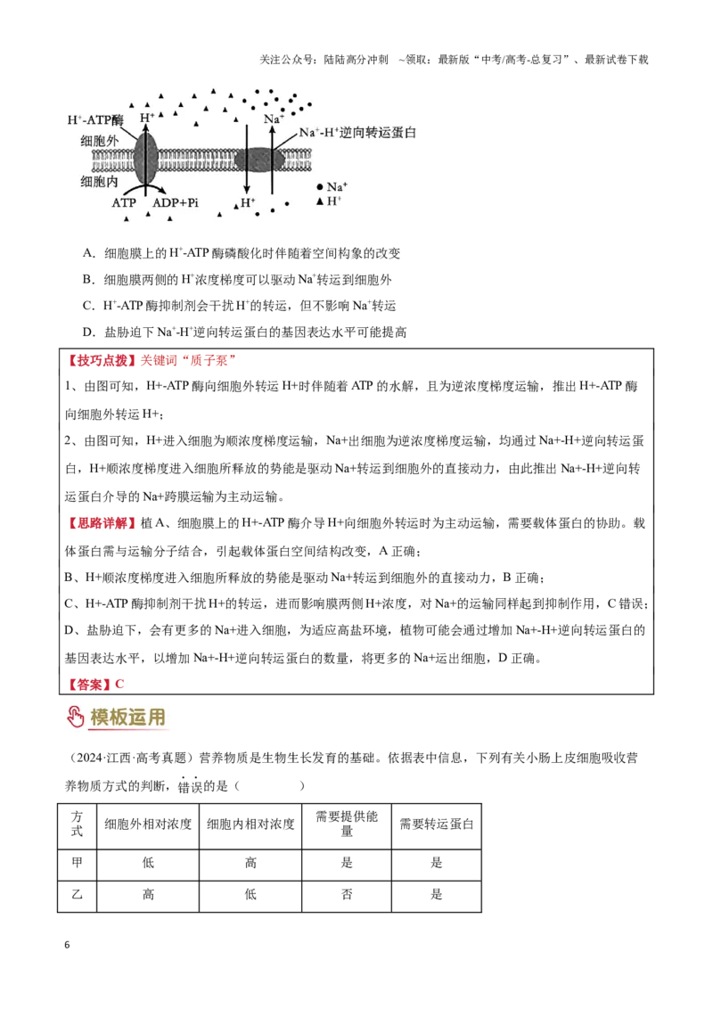 《专题01细胞的基本结构和物质运输（3大答题模板）（学生版）_06-生物-高考总复习_专项复习_2025年_2025年高考生物答题技巧与答题模板（全国通用）》第6页预览