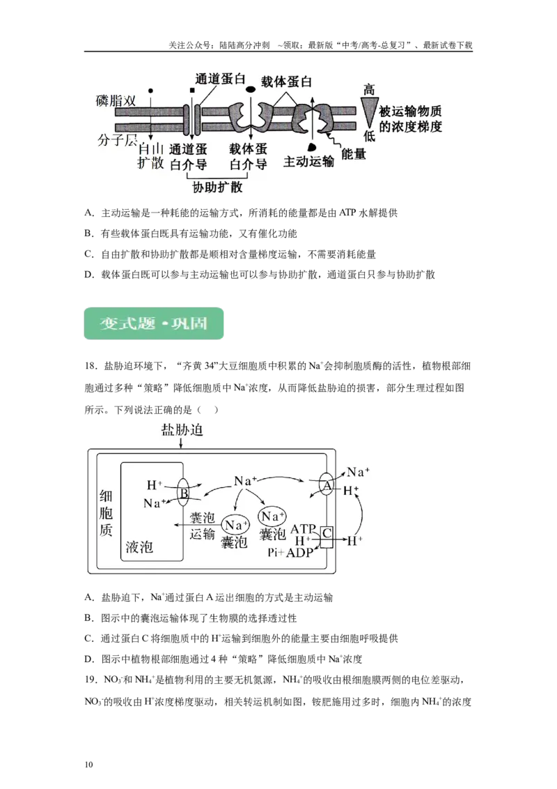 《2024年新课标高考生物真题黑龙江卷变式题16-18_06-生物-高考总复习_专项复习_2024年_2024年生物真题变式题》第10页预览