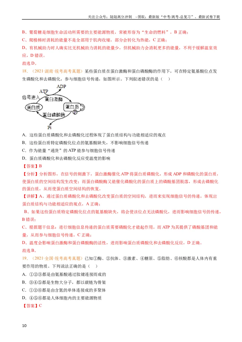 《专题01组成细胞的分子-五年（2019-2023）高考生物真题分项汇编（全国通用）（教师版）_06-生物-高考总复习_专项复习_2024年_2024年高考生物五年真题分项汇编（全国通用）》第10页预览