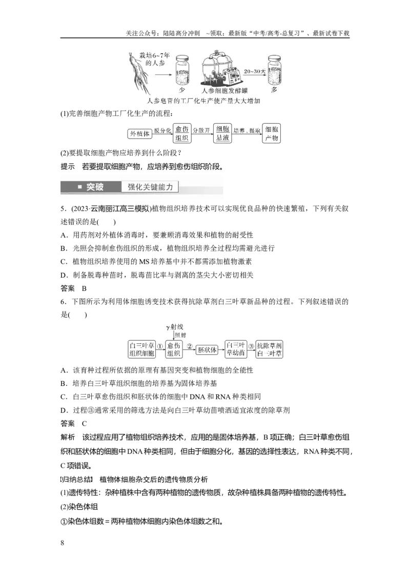 《2024年高考生物一轮复习（新人教版）第10单元　第3课时　植物细胞工程_06-生物-高考总复习_一轮复习_2024年_2024高考生物大一轮复习课件讲义新人教版知识总结_教师版》第8页预览