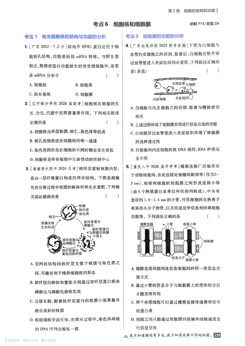 《考点精练_小初高学习资料合集（每天更新）_2027版《600分考点700分考法》_2027版高考《理想树•600分考点700分考法》（生物）》第10页预览