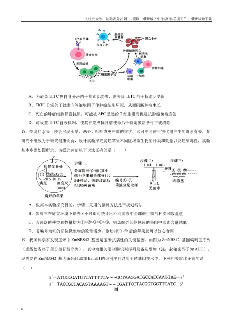 《2025年高考生物仿真模拟卷（黑吉辽蒙专用）（学生版）_06-生物-高考总复习_专项复习_2025年_2025年高考生物大题突破+限时集训（黑吉辽蒙专用）》第6页预览