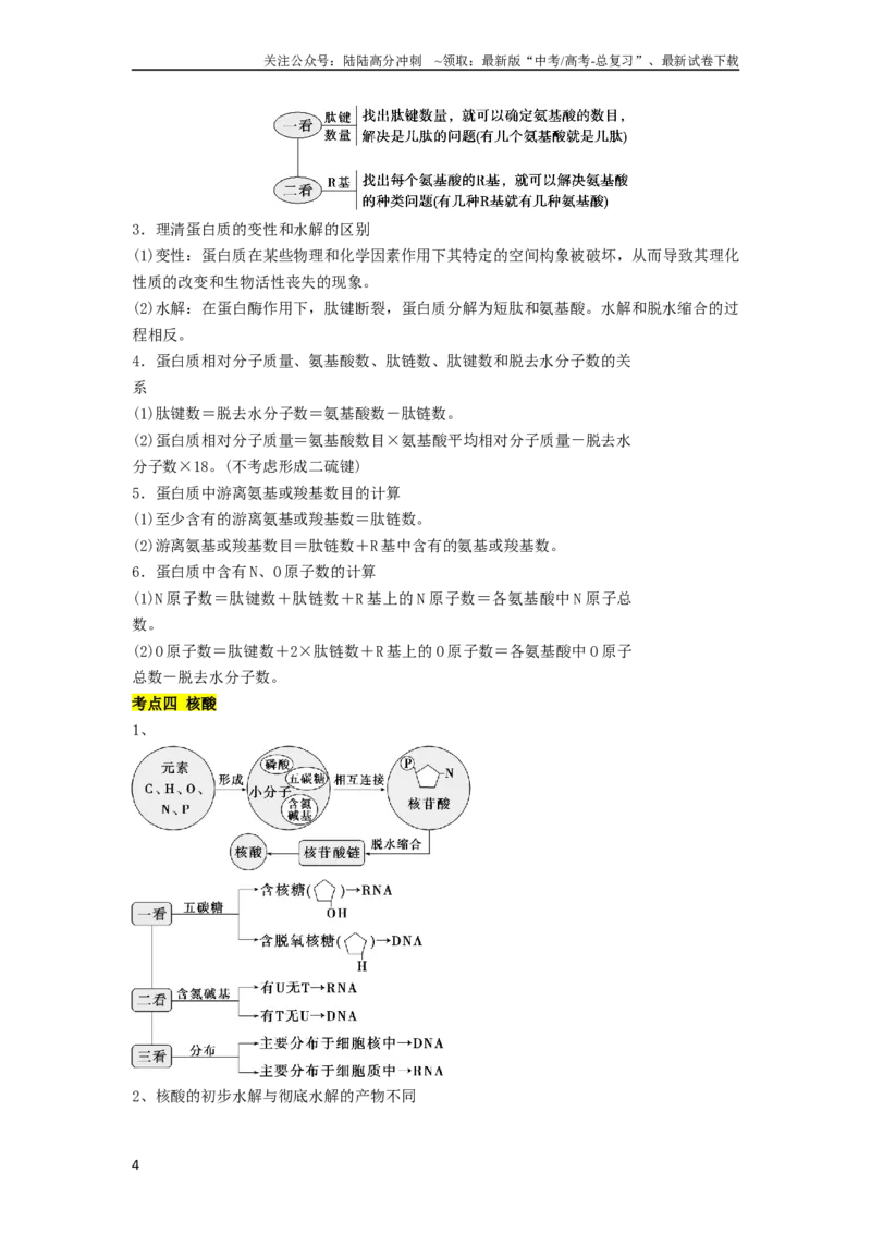 《专题01组成细胞的分子（解析版）_06-生物-高考总复习_二轮复习_2024年_2024年高考生物二轮复习考点归纳与解题策略新高考_资料》第4页预览