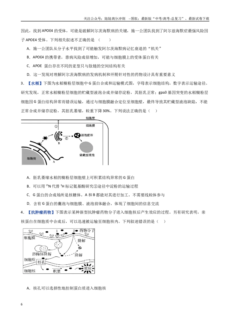 《专题02细胞的结构基础（原卷版）_06-生物-高考总复习_专项复习_2025年_2025年高考生物重难点讲义专练（西北四省专用）》第6页预览