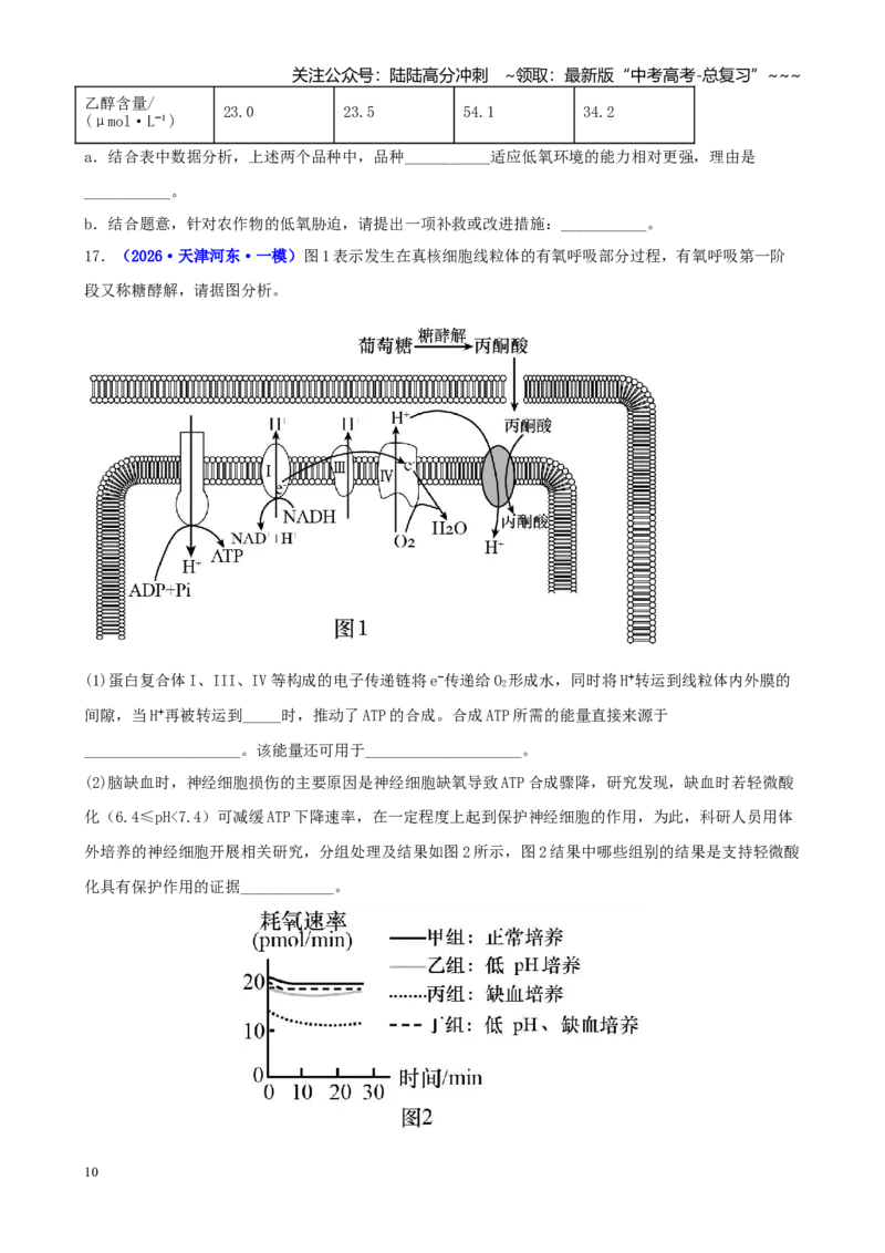 《专题02细胞代谢（学生版）_06-生物-高考总复习_专项复习_2026年-生物高考专项复习_2026年高考生物一模试题分类汇编（新高考通用）-G178_2026版》第10页预览
