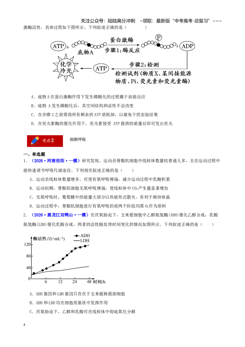 《专题02细胞代谢（学生版）_06-生物-高考总复习_专项复习_2026年-生物高考专项复习_2026年高考生物一模试题分类汇编（新高考通用）-G178_2026版》第4页预览