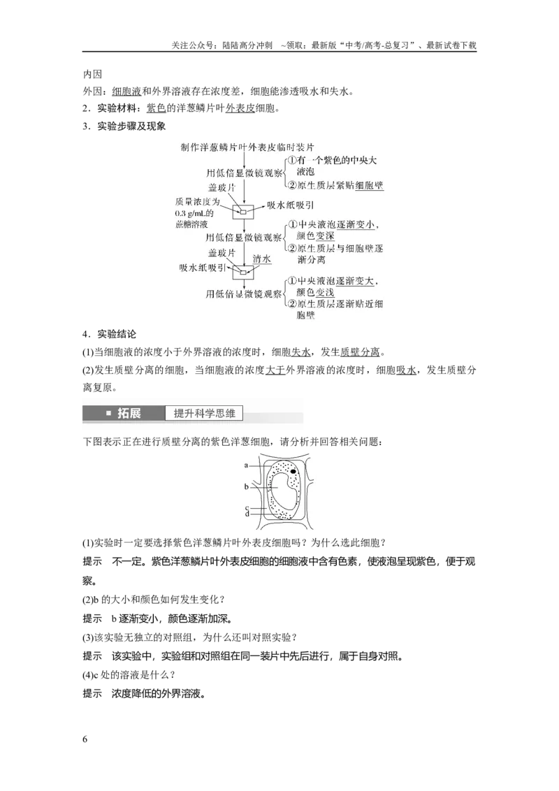 《2024年高考生物一轮复习（新人教版）第2单元　第4课时　水进出细胞的原理_06-生物-高考总复习_一轮复习_2024年_2024高考生物大一轮复习课件讲义新人教版知识总结_教师版》第6页预览