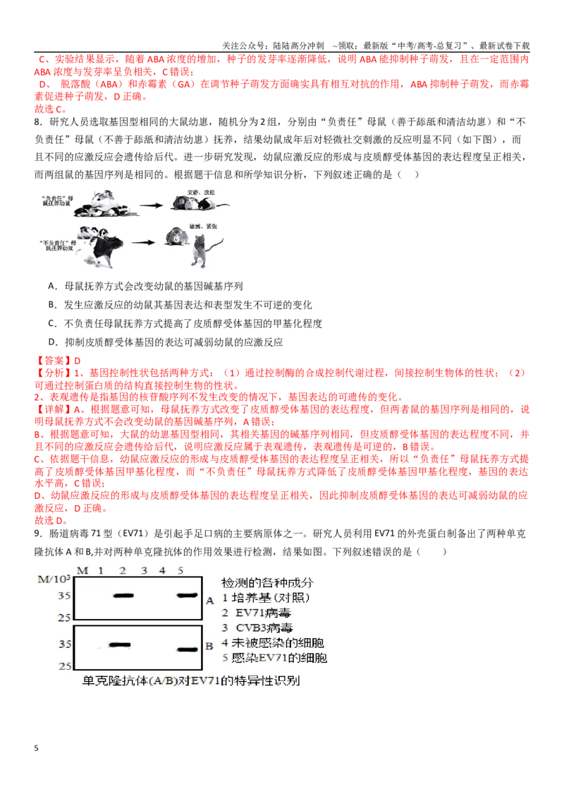 《专练08实验探究（50题）（教师版）_06-生物-高考总复习_专项复习_2024年_2024年新高考生物总复习高频考点必刷800题_2025版》第5页预览