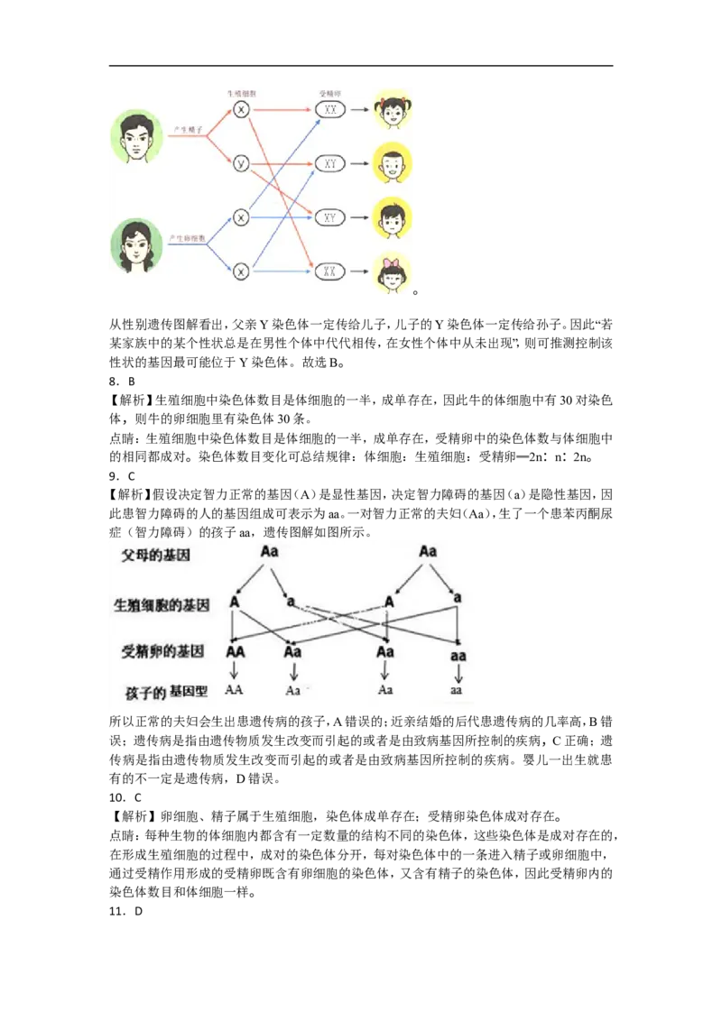 《第二章《生物的遗传与变异》单元检测题（含答案）_初中全科目同步习题+精品试卷（7-9年级）(1)_25秋初中生物《同步习题+精品试卷》_初中生物试卷（北师大）_《单元试卷》_单元试卷8B》第6页预览