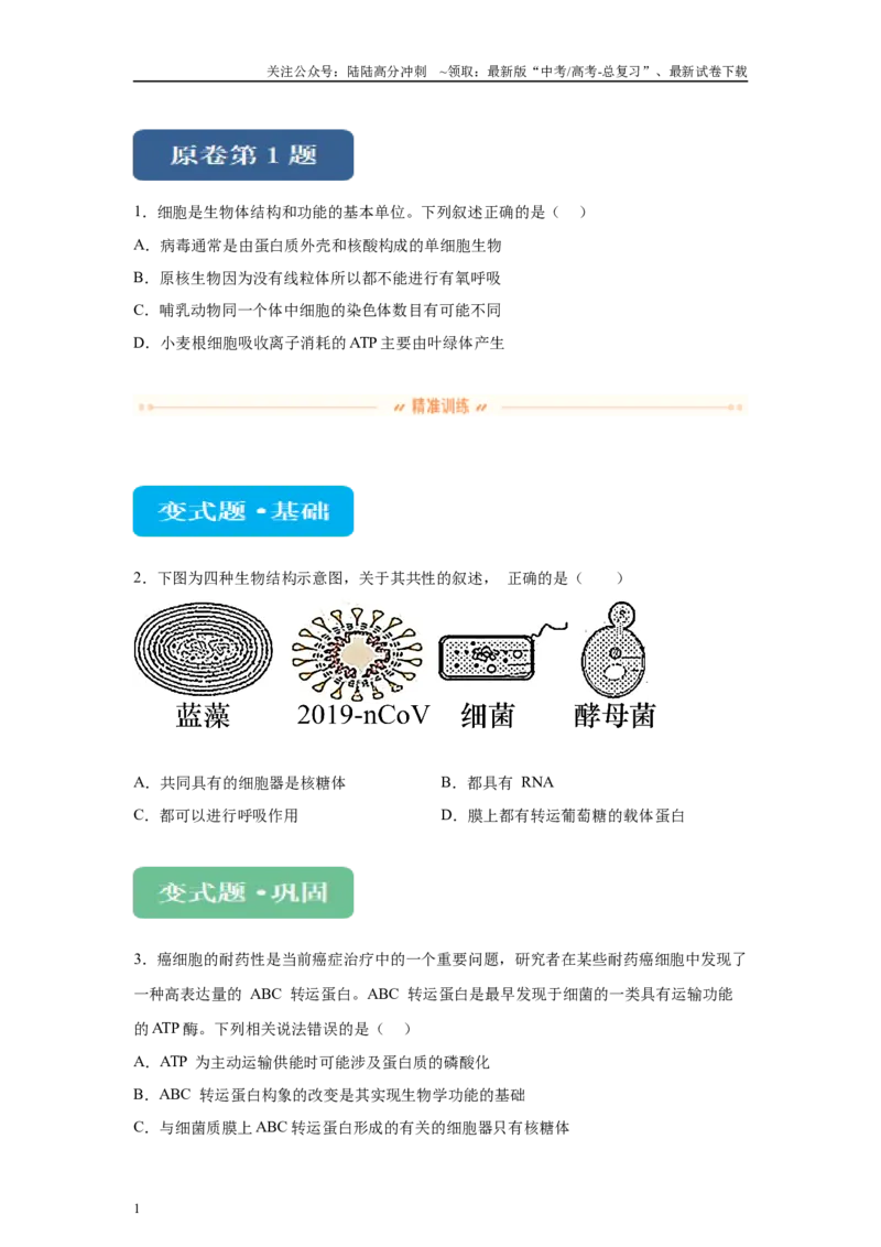 《2024年全国甲卷理综生物高考真题试卷变式题1-3_06-生物-高考总复习_专项复习_2024年_2024年生物真题变式题》第1页预览