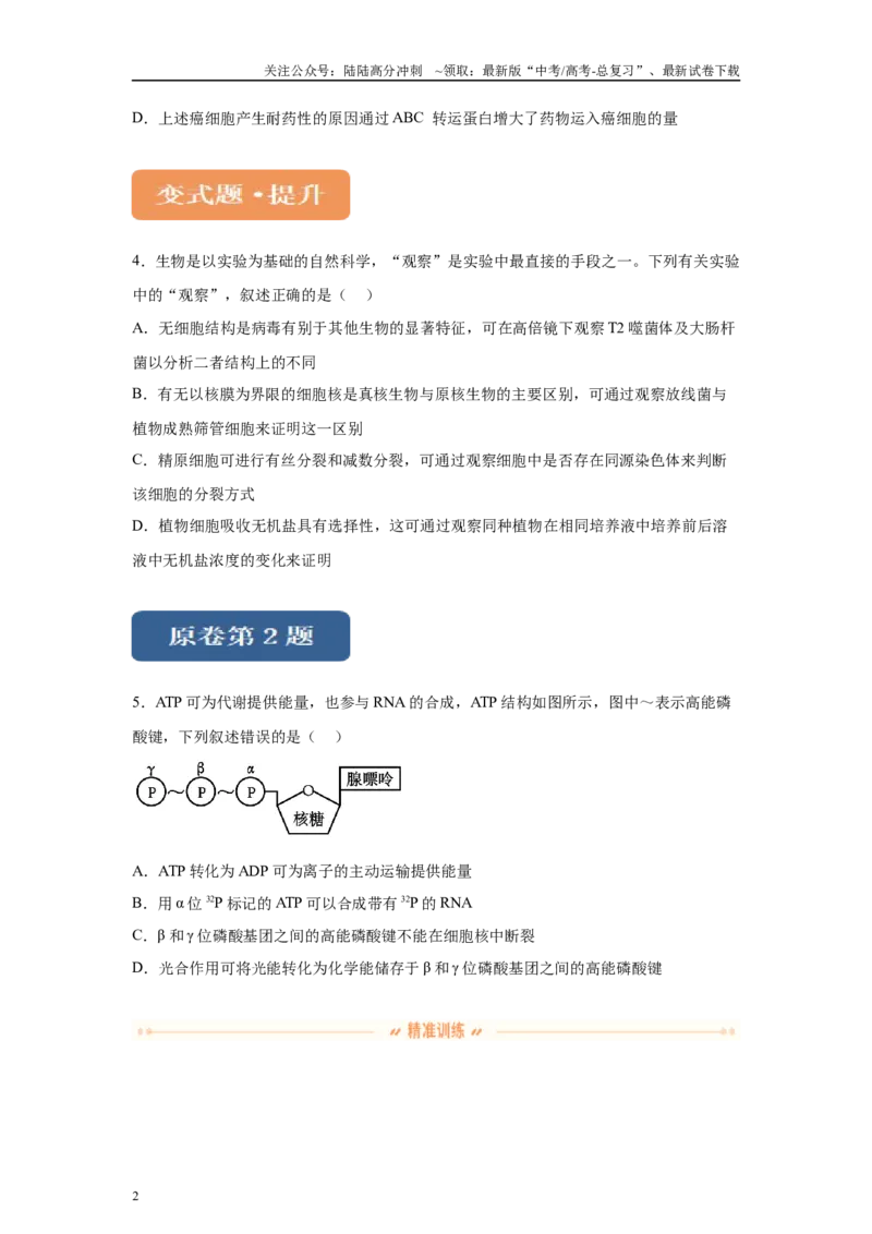 《2024年全国甲卷理综生物高考真题试卷变式题1-3_06-生物-高考总复习_专项复习_2024年_2024年生物真题变式题》第2页预览