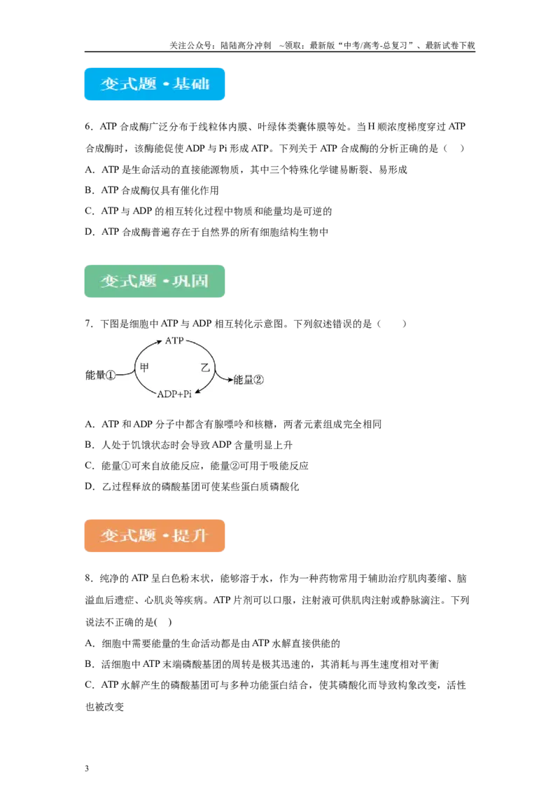 《2024年全国甲卷理综生物高考真题试卷变式题1-3_06-生物-高考总复习_专项复习_2024年_2024年生物真题变式题》第3页预览