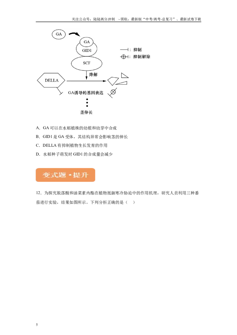 《2024年全国甲卷理综生物高考真题试卷变式题1-3_06-生物-高考总复习_专项复习_2024年_2024年生物真题变式题》第5页预览