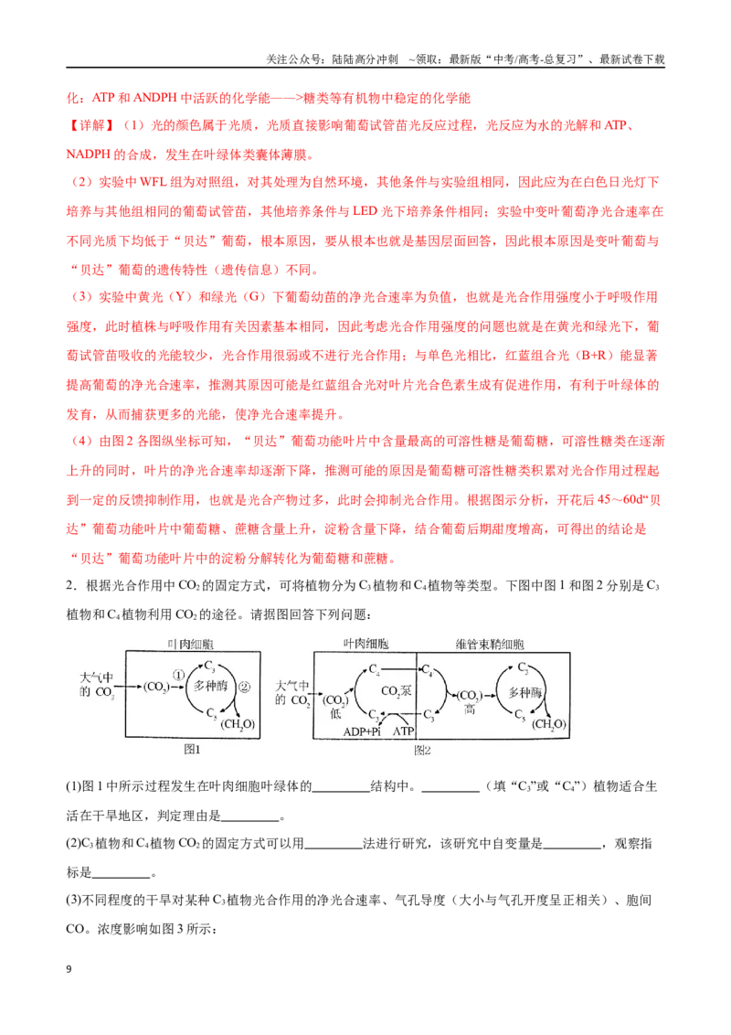 《专题01光合作用的应用（新高考通用）（解析版）_06-生物-高考总复习_专项复习_2024年_2024年高考生物考前大题秒杀技巧及专项训练_资料》第9页预览