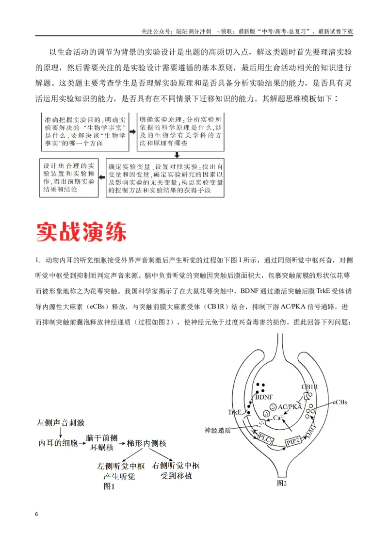 《专题02生命活动的调节（河北卷）（解析版）_06-生物-高考总复习_专项复习_2024年_2024年高考生物考前大题秒杀技巧及专项训练_资料》第6页预览