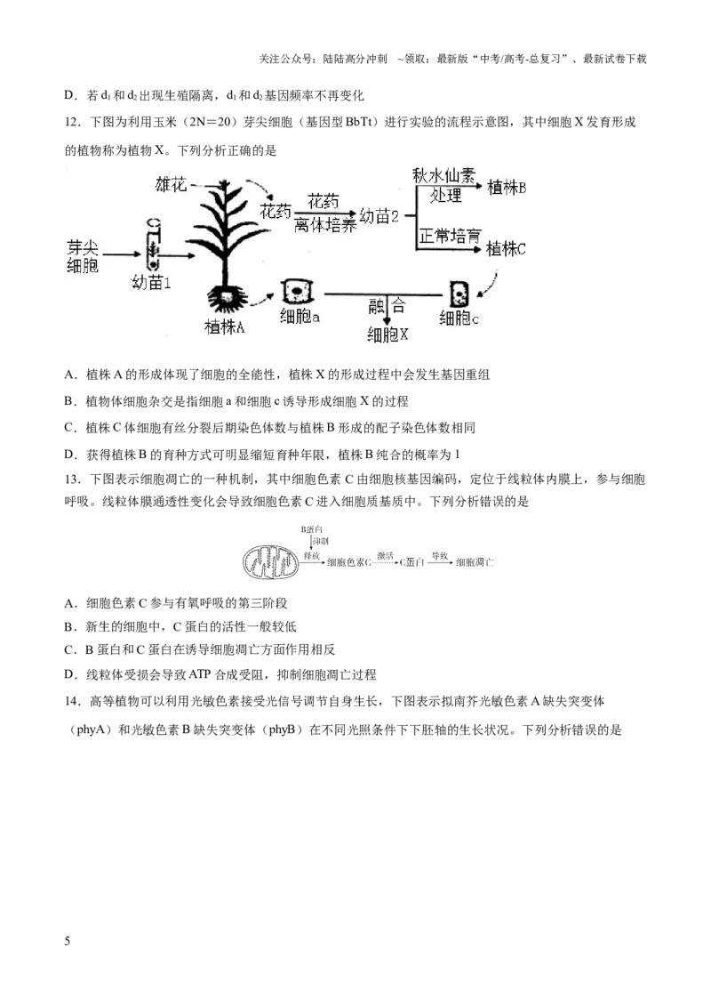 《2023年高考押题预测卷01（广东卷）-生物（考试版）_06-生物-高考总复习_专项复习_2024年_2023年高考押题预测卷01生物》第5页预览