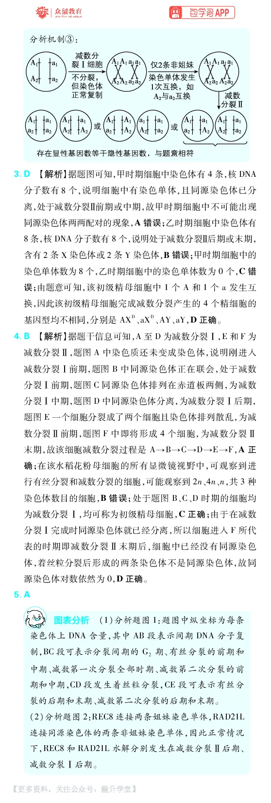 《第5章细胞的生命历程_小初高学习资料合集（每天更新）_2027版《600分考点700分考法》_2027版高考《理想树•600分考点700分考法》（生物）_生物答案》第3页预览