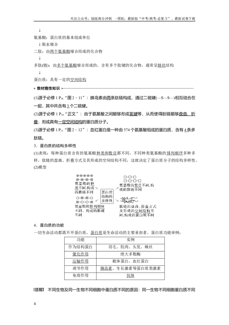 《2024年高考生物一轮复习（新人教版）第1单元　第3课时　蛋白质是生命活动的主要承担者_06-生物-高考总复习_一轮复习_2024年_2024高考生物大一轮复习课件讲义新人教版知识总结_教师版》第4页预览