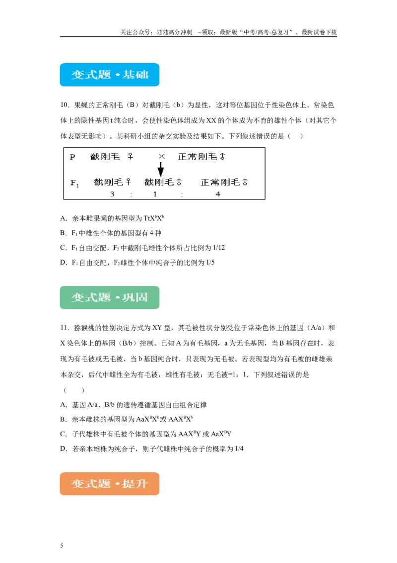 《2024年全国甲卷理综生物高考真题试卷变式题4-6_06-生物-高考总复习_专项复习_2024年_2024年生物真题变式题》第5页预览