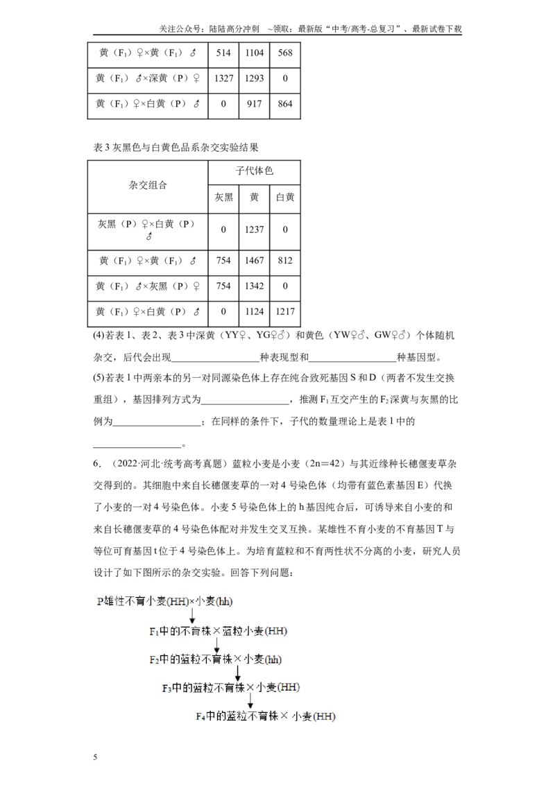 《02遗传进化综合题（20）(原卷版)_06-生物-高考总复习_专项复习_2024年_2024年高考生物学总复习高频考点必刷900题高考题_资料》第5页预览