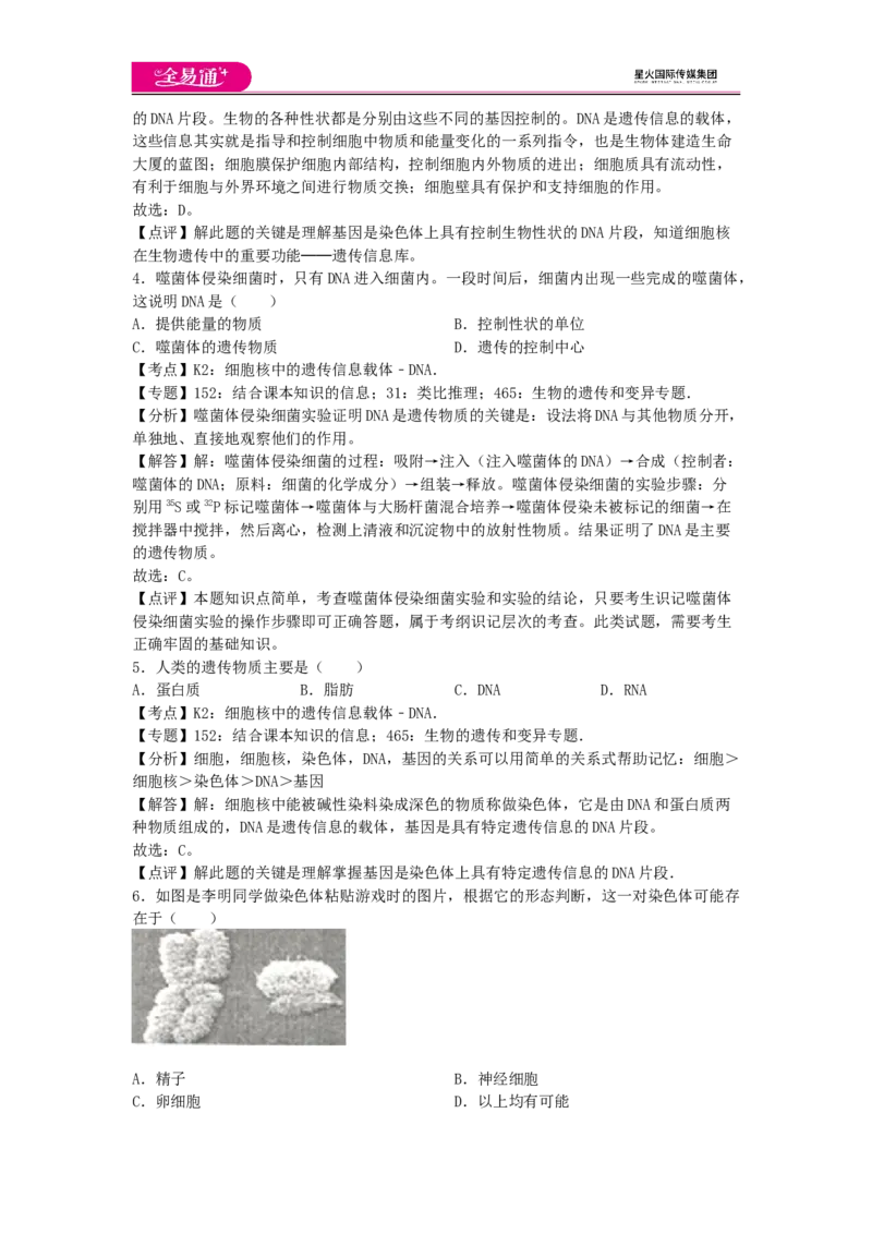 《第四章章末试卷3_初中全科目同步习题+精品试卷（7-9年级）(1)_25秋初中生物《同步习题+精品试卷》_初中生物试卷（济南版）_同步试卷资源包（8A）_八上章末试卷》第2页预览