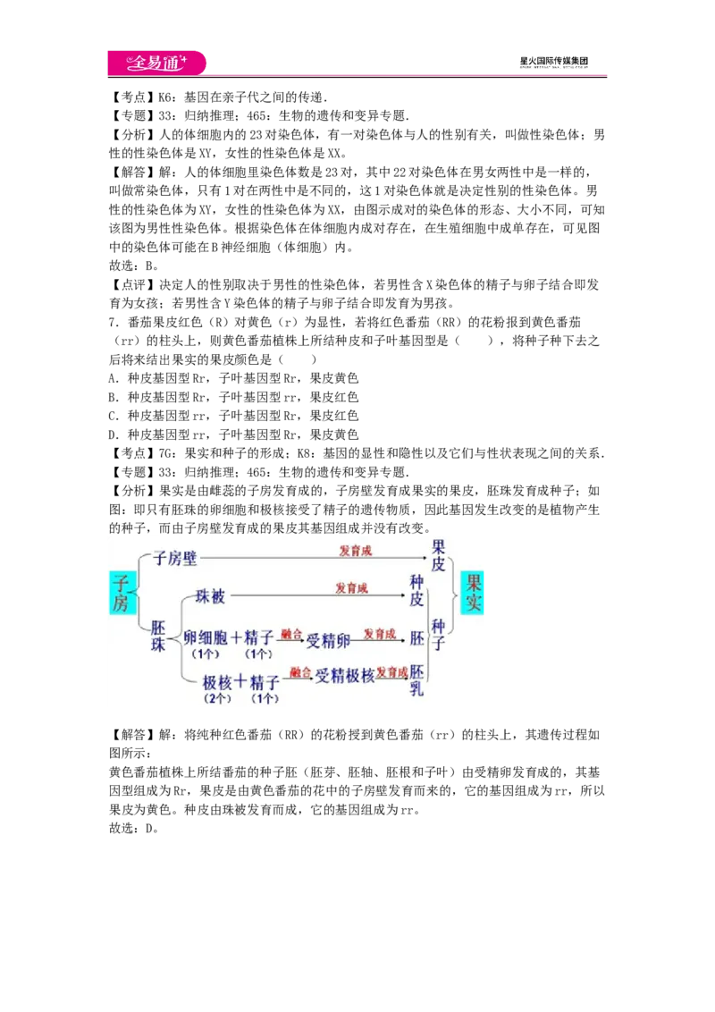 《第四章章末试卷3_初中全科目同步习题+精品试卷（7-9年级）(1)_25秋初中生物《同步习题+精品试卷》_初中生物试卷（济南版）_同步试卷资源包（8A）_八上章末试卷》第3页预览