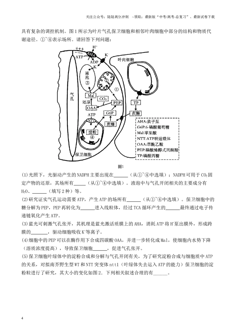 《专题02光合作用与呼吸作用相关实验探究（原卷版）_06-生物-高考总复习_专项复习_2024年_2024年高考生物热点实验分析预测题型归纳重难讲解_资料》第4页预览