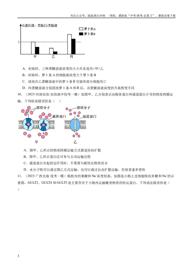 《专题01细胞的分子组成、结构和物质运输（分层练）（原卷版）_06-生物-高考总复习_二轮复习_2024年_2024年高考生物二轮复习高频考点追踪与预测（新高考专用）_分层练》第3页预览