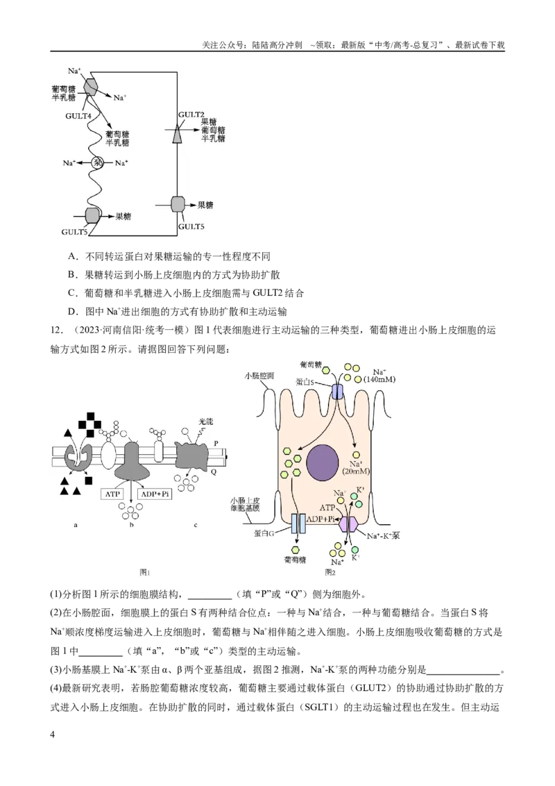 《专题01细胞的分子组成、结构和物质运输（分层练）（原卷版）_06-生物-高考总复习_二轮复习_2024年_2024年高考生物二轮复习高频考点追踪与预测（新高考专用）_分层练》第4页预览