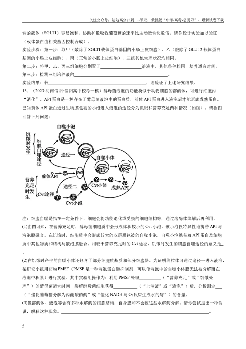 《专题01细胞的分子组成、结构和物质运输（分层练）（原卷版）_06-生物-高考总复习_二轮复习_2024年_2024年高考生物二轮复习高频考点追踪与预测（新高考专用）_分层练》第5页预览