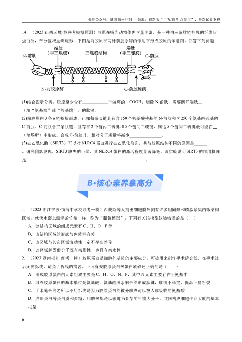 《专题01细胞的分子组成、结构和物质运输（分层练）（原卷版）_06-生物-高考总复习_二轮复习_2024年_2024年高考生物二轮复习高频考点追踪与预测（新高考专用）_分层练》第6页预览