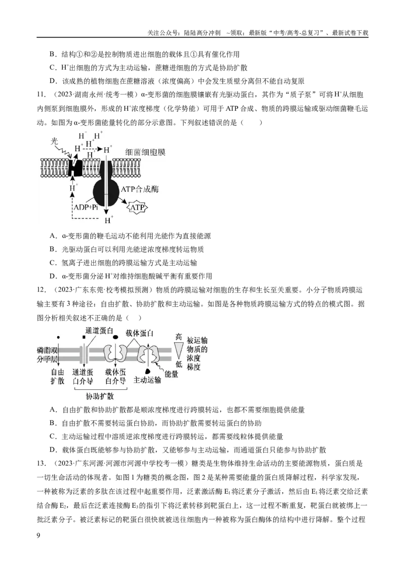 《专题01细胞的分子组成、结构和物质运输（分层练）（原卷版）_06-生物-高考总复习_二轮复习_2024年_2024年高考生物二轮复习高频考点追踪与预测（新高考专用）_分层练》第9页预览