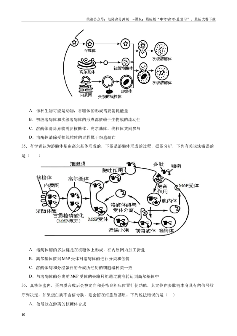 《专题01细胞的分子组成与结构（选择题60道）（原卷版）_06-生物-高考总复习_二轮复习_2024年_2024年高考生物二轮复习选择题大题压轴专项训练_资料》第10页预览