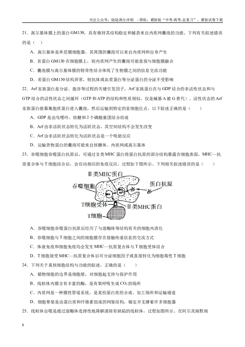 《专题01细胞的分子组成与结构（选择题60道）（原卷版）_06-生物-高考总复习_二轮复习_2024年_2024年高考生物二轮复习选择题大题压轴专项训练_资料》第6页预览