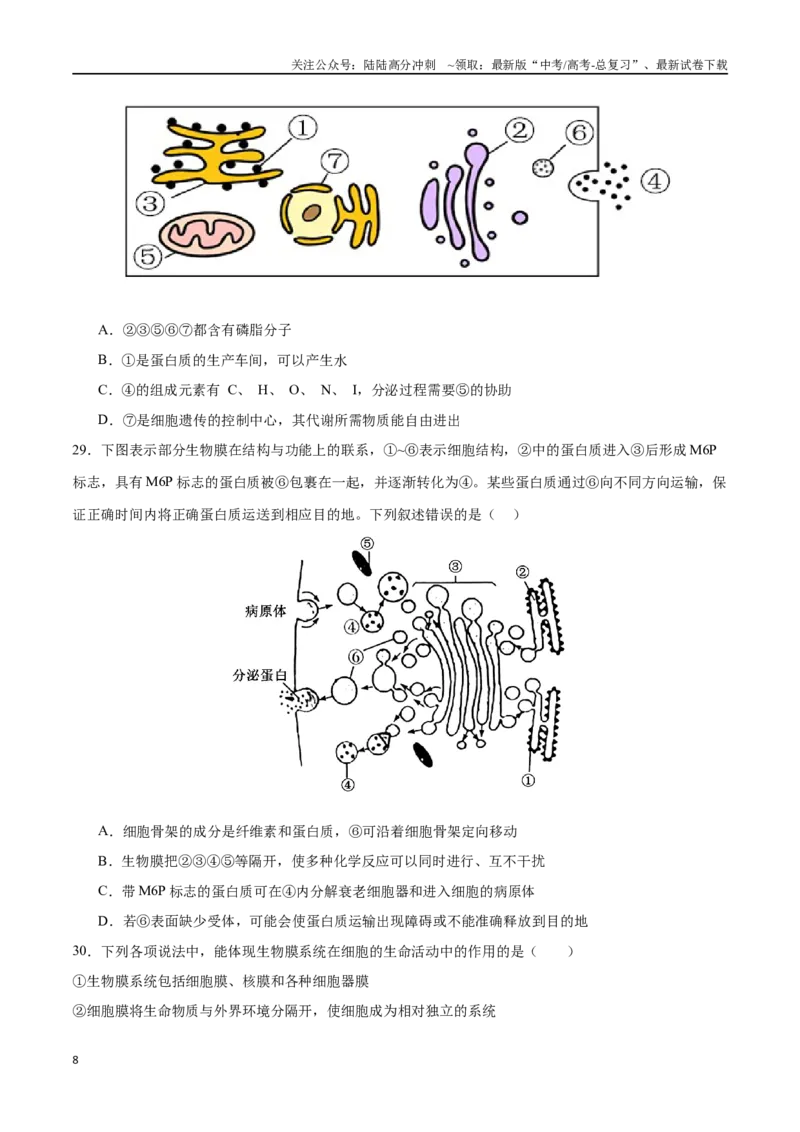 《专题01细胞的分子组成与结构（选择题60道）（原卷版）_06-生物-高考总复习_二轮复习_2024年_2024年高考生物二轮复习选择题大题压轴专项训练_资料》第8页预览