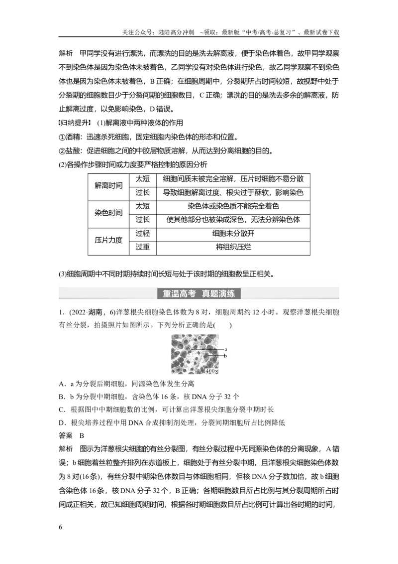 《2024年高考生物一轮复习（新人教版）第4单元　第2课时　有丝分裂过程中相关变化及观察实验_06-生物-高考总复习_一轮复习_2024年_2024高考生物大一轮复习课件讲义新人教版知识总结_教师版》第6页预览