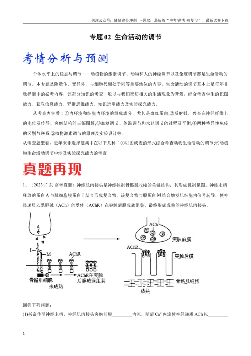 《专题02生命活动的调节（广东卷）（解析版）_06-生物-高考总复习_专项复习_2024年_2024年高考生物考前大题秒杀技巧及专项训练_资料》第1页预览