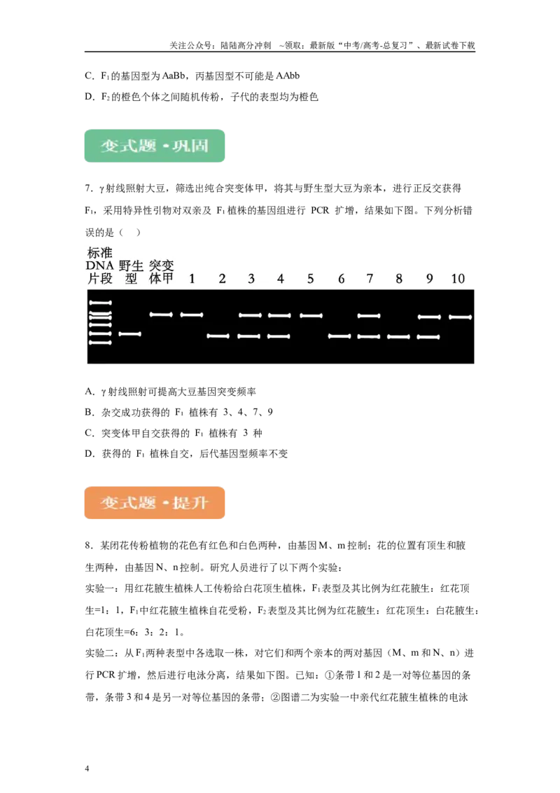《2024年全国高考真题新课标理综生物试卷（山西、河南、云南、新疆）变式题4-6_06-生物-高考总复习_专项复习_2024年_2024年生物真题变式题》第4页预览