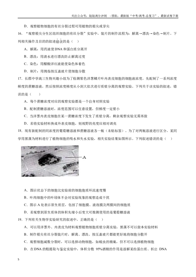 《专题01观察类实验（原卷版）_06-生物-高考总复习_专项复习_2024年_2024年高考生物实验专项训练_资料》第5页预览