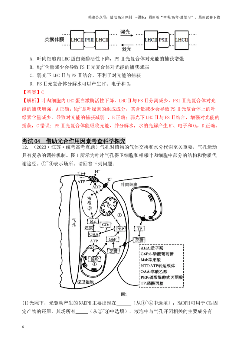 《专题02光合作用与呼吸作用相关实验探究（解析版）_06-生物-高考总复习_专项复习_2024年_2024年高考生物热点实验分析预测题型归纳重难讲解_资料》第6页预览