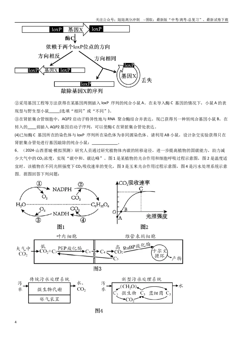 《专练16生物学热点题（20题）（学生版）_06-生物-高考总复习_专项复习_2024年_2024年新高考生物总复习高频考点必刷800题_2025版》第4页预览