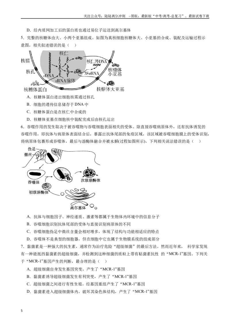 《专题02细胞的结构和功能（原卷版）_06-生物-高考总复习_专项复习_2024年_2024年高考生物经典小题必刷_资料》第5页预览